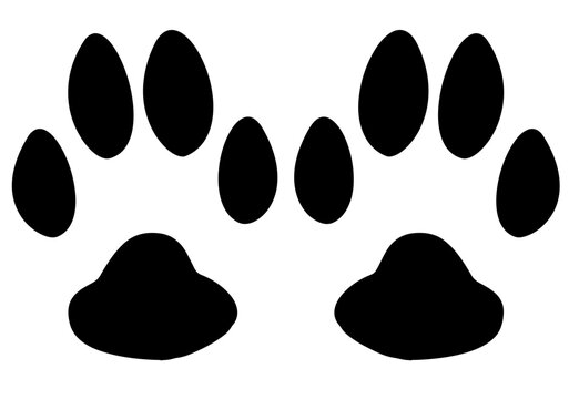 Paw footprint of Cat, Dog, Kitten Puppy svg, Paw silhouettes, paw svg vector
