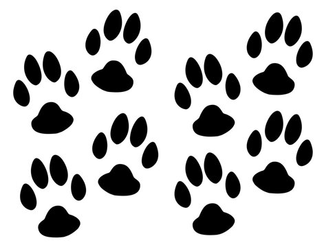 Paw footprint of Cat, Dog, Kitten Puppy svg, Paw silhouettes, paw svg vector
