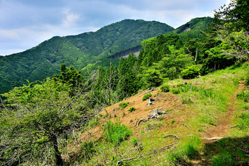 Fototapeta na wymiar 西丹沢の湯船山稜コース縦走路より白クラノ頭を望む 