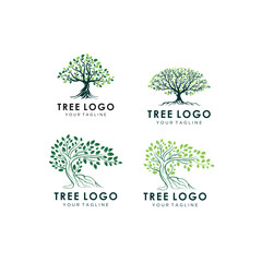 Obraz premium Abstract Tree of life logo icons set. Organic nature symbols. Tree branch with leaves signs. Natural plant design elements emblems. Vector illustration.