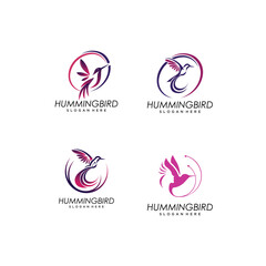 abstract colorful hummingbird vector line art, colibri wall art design, minimal bird line logo icon illustration isolated on white background
