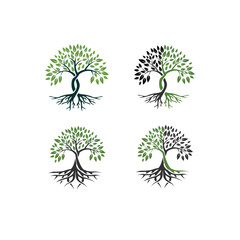 Abstract Tree of life logo icons set. Organic nature symbols. Tree branch with leaves signs. Natural plant design elements emblems. Vector illustration.