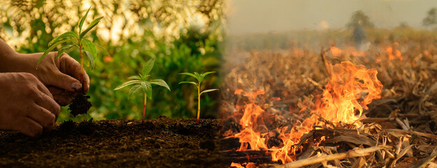 World environment concept Planting trees with hands and flames. Global warming. Sustainable...