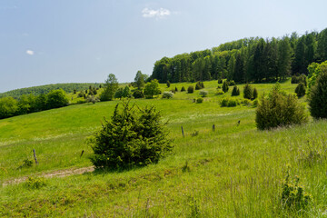   Landschaft im Naturschutzgebiet Wiesenthaler Schweiz, Bioshärenreservat Rhön, Gemeinde Wiesenthal, Wartburgkreis, Thüringen, Deutschland
