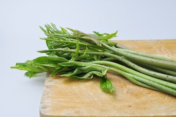 tropical green leaves of Lasia spinosa on wooden on white background,Green leaves is  herbaceous plant of the Araceae family