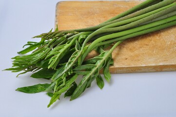 tropical green leaves of Lasia spinosa on wooden on white background,Green leaves is  herbaceous plant of the Araceae family