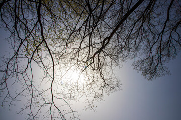 반영, 마장호수