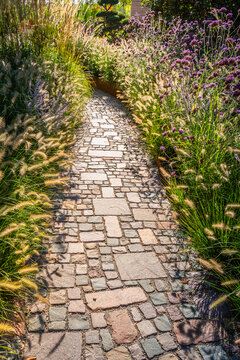 Paved path in natural garden with ornamental grasses in backyard or patio