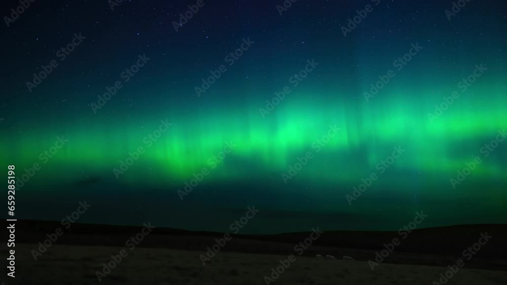 Wall mural dynamic timelapse of the aurora borealis over fields of sheep in scotland.