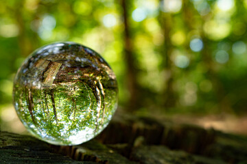 Fototapeta na wymiar Focus on taking care of nature shown with a glass ball reflecting the Scandinavian forests, landscapes and nature inside and outside the ball. A room with nature in the nature.