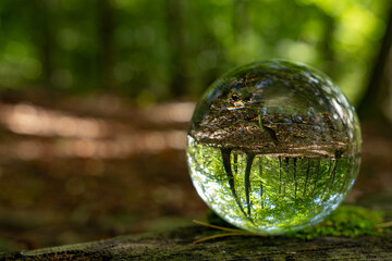 Fototapeta na wymiar Focus on taking care of nature shown with a glass ball reflecting the Scandinavian forests, landscapes and nature inside and outside the ball. A room with nature in the nature.