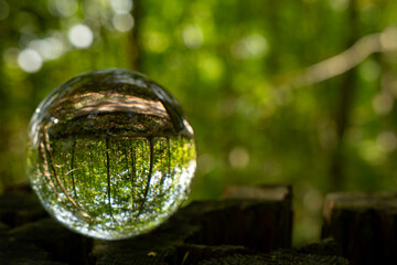 Focus on taking care of nature shown with a glass ball  reflecting the Scandinavian forests, landscapes and nature inside and outside the ball. A room with nature in the nature.