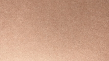 Paper texture cardboard background. Vector design.
