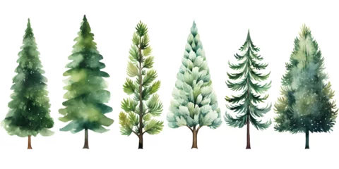 Foto op Canvas Set of different watercolor pine trees isolated on white background © TatjanaMeininger