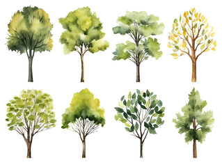 Set of different watercolor green trees isolated on white background