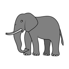 Exotic Animals Illustration Set _ Elephant