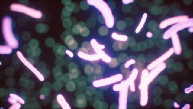 Viewing the navirus under a digital microscope