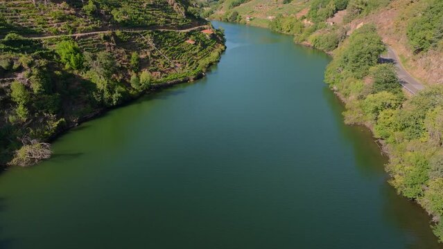 Serene View Of Minho River With Vineyards And Villages In Belesar, Ribeira Sacra, Lugo, Galicia, Spain. Aerial Shot