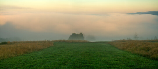 Naklejka na ściany i meble misty sunrise over a mountain meadow.