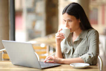 Woman drinking and checking laptop in a bar