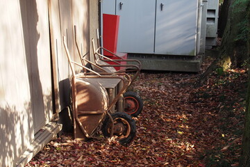晩秋の猫車, Pushcarts in late autumn