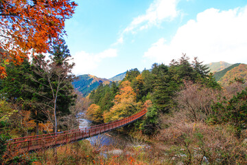 This red suspended bridge is a symbol of the Akigawa Valley and offers splendid views of the river...