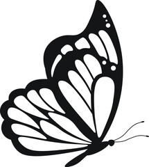 black and white butterfly