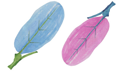 Watercolor high resolution leaf. Beautiful watercolor leaves for wallpaper, calendar, t shirt design. Watercolor background 