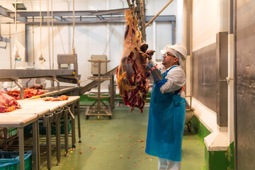 Butcher cutting cow meat in slaughterhouse