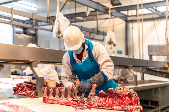 Butcher cutting meat from ribs at slaughterhouse