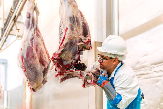 Slaughterhouse worker cutting cow leg in meat locker