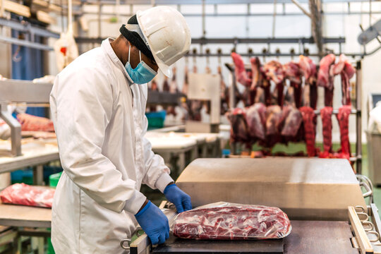 Young butcher packing raw meat in slaughterhouse