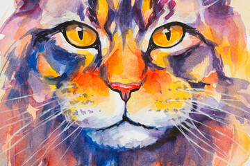 Maine Coon Cat painted in watercolor on a white background in a realistic manner, colorful, rainbow. Ideal for teaching materials, books and nature-themed designs.