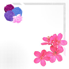 Abstract Grey Line Frame Background with Colored Flower Collage
