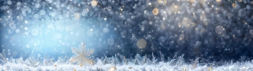 Fotobehang Christmas banner. Side view of winter panorama, copy space for winter and Christmas business advertising, frost, snow and snow flakes. Merry Christmas web header with dim background, ©  DigitalMerchant