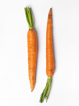 carrots on a white background © lana