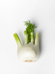 fresh fennel