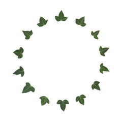 Winter ivy leaf wreath on white background, Christmas traditional fauna for logo, card, invitation,...