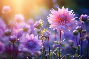 Atmospheric Floral Symphony: Beautiful Blurry Image of Lavender and Dahlia Flowers in Nature with Soft Focus and Ethereal Volumetric Lighting