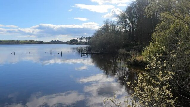 Reflections on a lake in early spring in Waterford Ireland calming