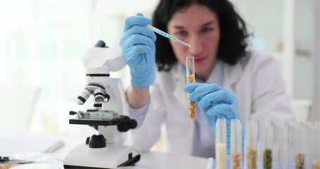 Scientist dripping drops of liquid from pipette into test tube with corn kernels closeup 4k movie. Genetic engineering concept