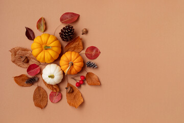 Autumn Thanksgiving holiday background from pumpkins, colorful dried leaves and fall decorations top view..