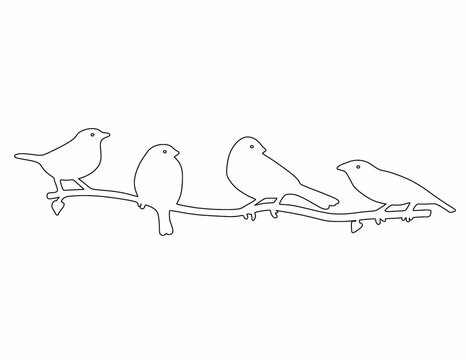oiseau, dessin animé, art, poulet