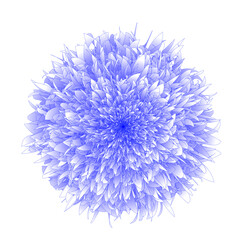 Abstract Flower