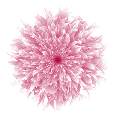 Abstract Flower
