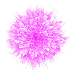 Abstract Flower