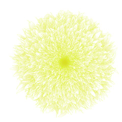 Abstract Flower