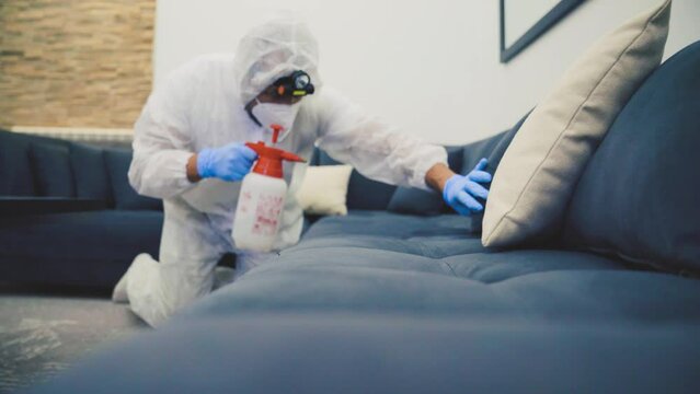 Bedbug infestation and treatment service