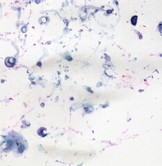 Bilberry stains on white paper. Abstract background