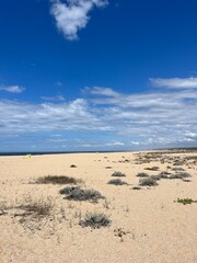 Fototapeta na wymiar Empty sand beach, blue seashore
